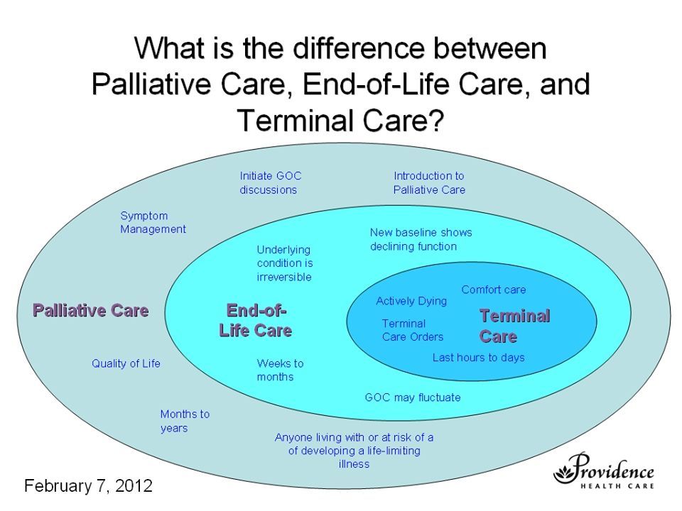 Palliative Care and End-of-Life Planning